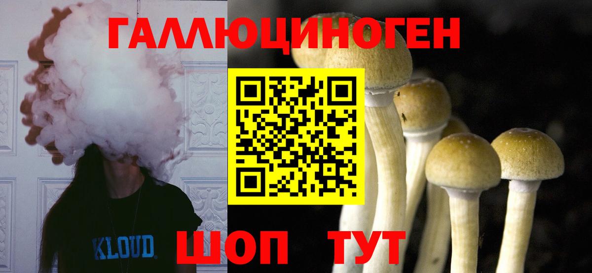 Пугачёв  Псилоцибиновые грибы мухоморы  Вход с VPN 